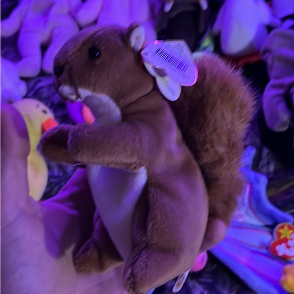 I have a full collection of TY the beanie babies collection - Picture 3 of 6